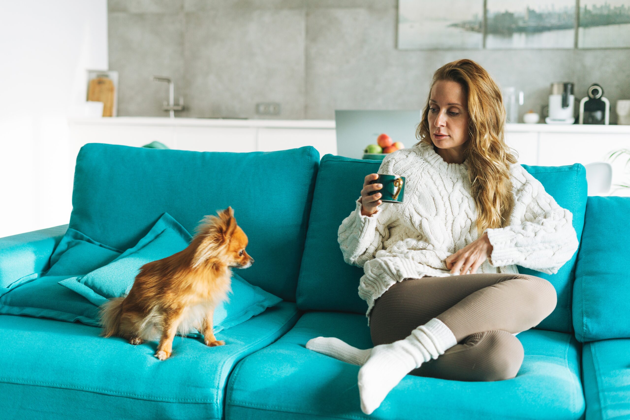 İstanbul Avrupa Yakası Koltuk Yıkama